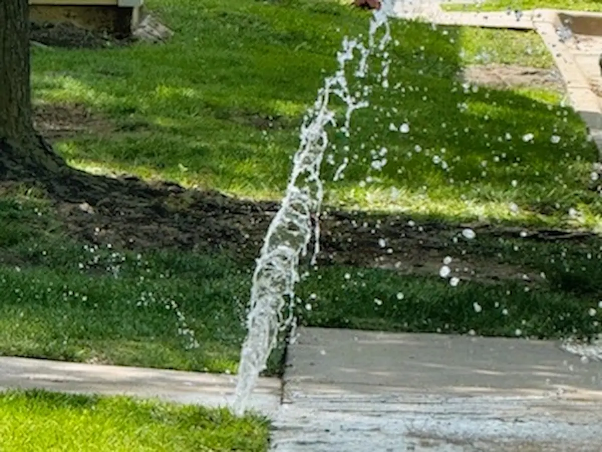 Sprinkler repair services
